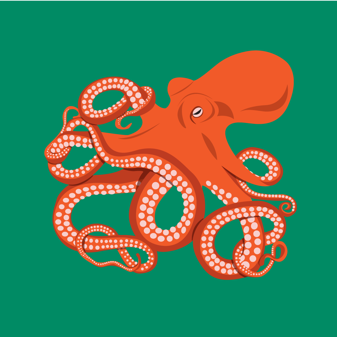k20-learn-kind-of-like-an-octopus-world-language-version